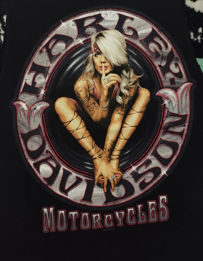Vintage Harley Davidson Tel-aviv - Image 3
