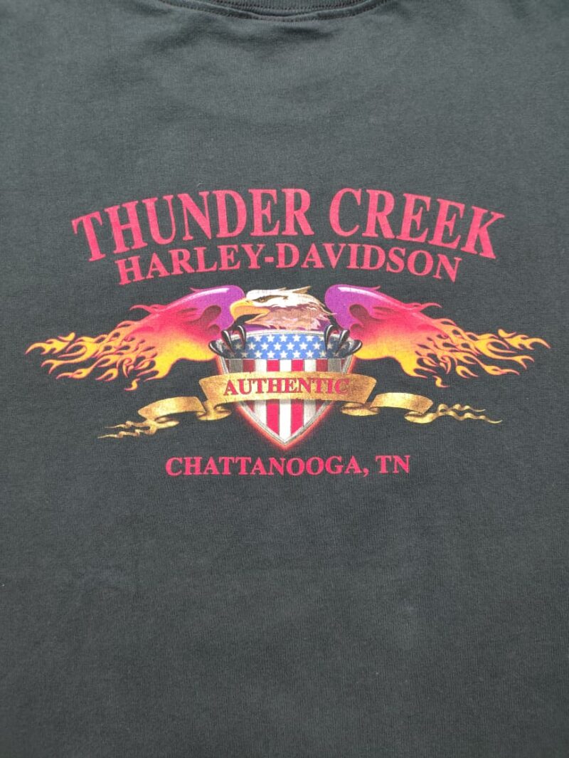 Vintage Thunder Creek Chattanooga, Tn - Image 4