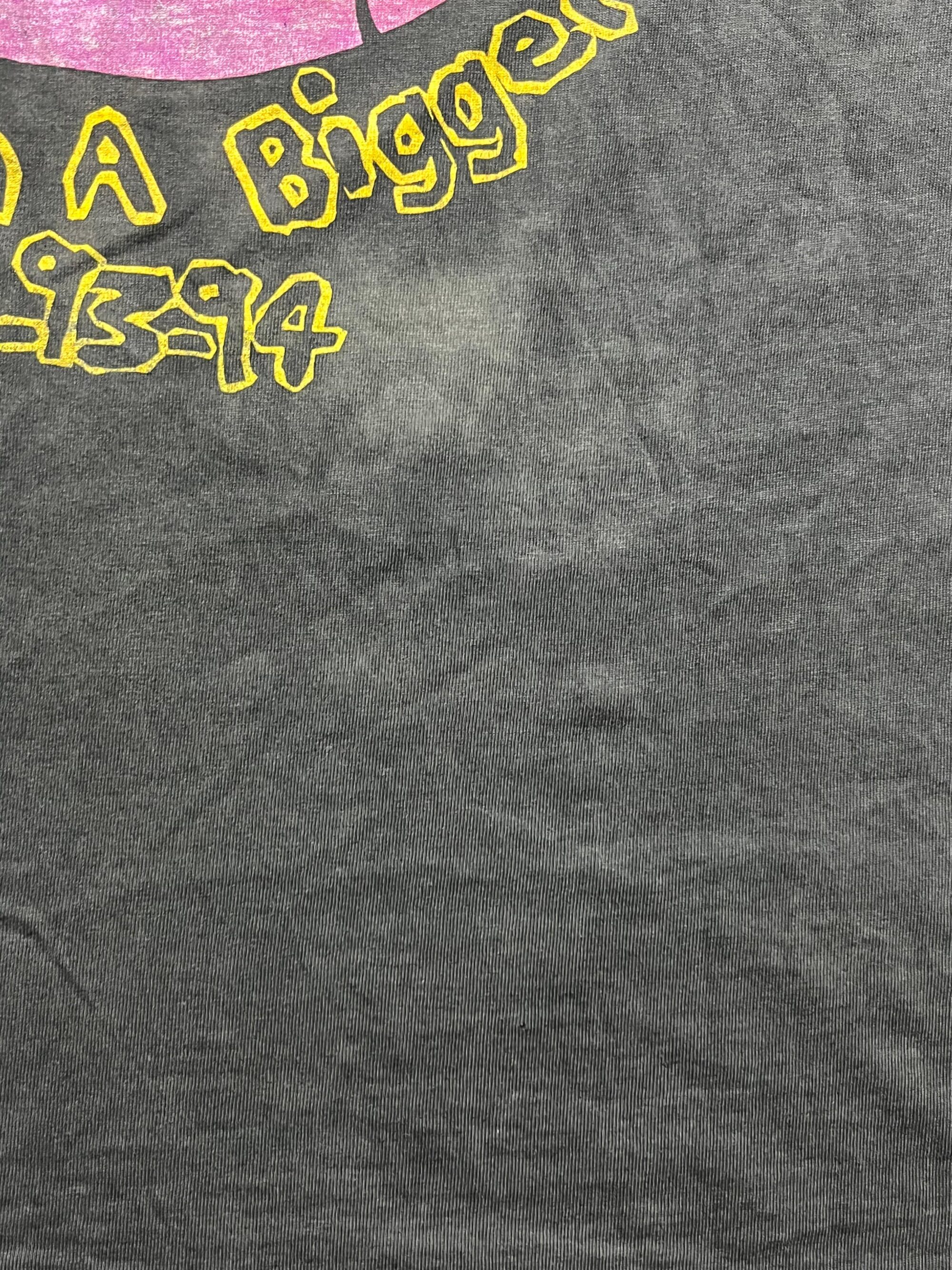 Vintage Blind Melon Crammed In A bigger Van - Image 11