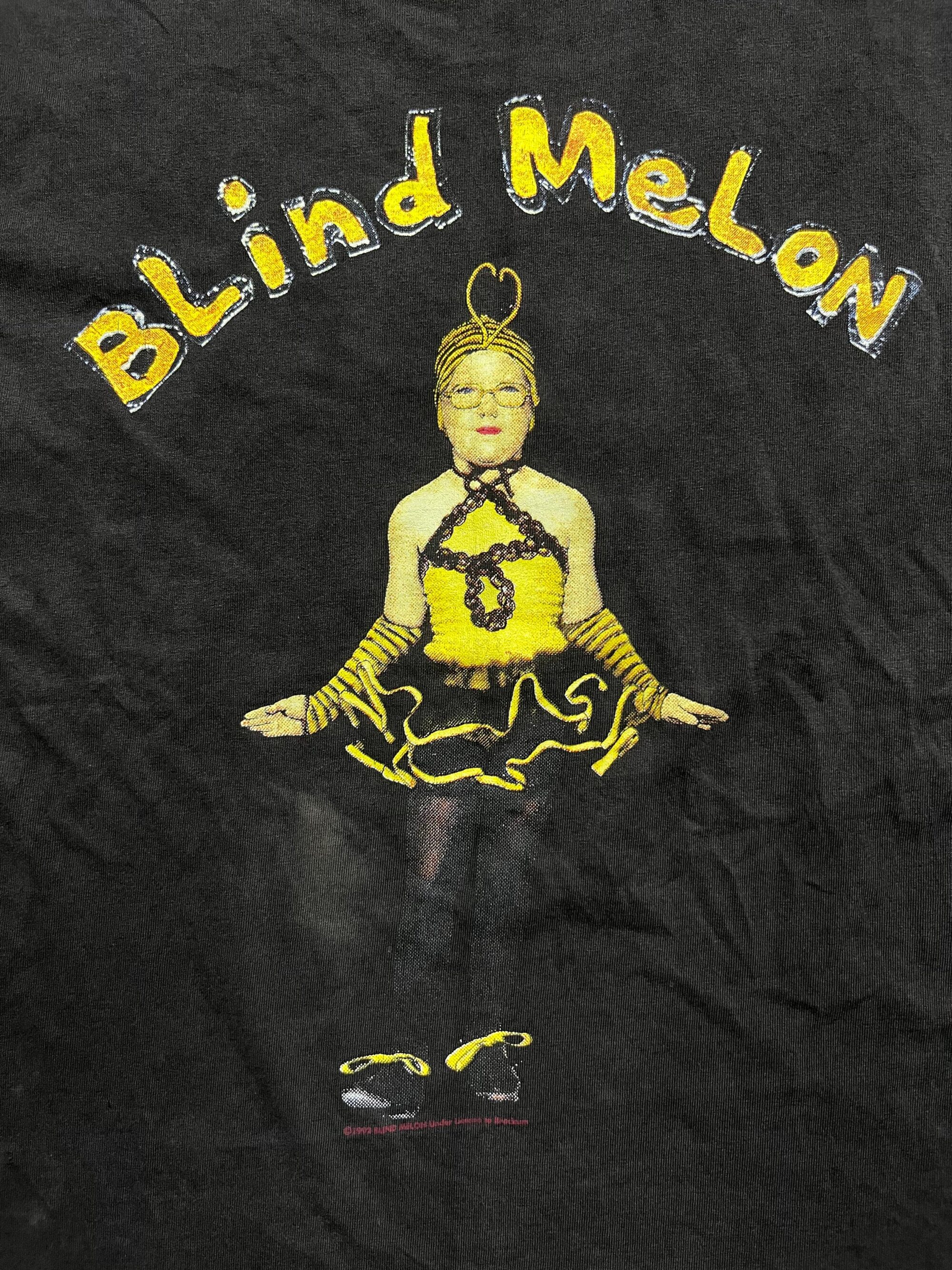 Vintage Blind Melon Crammed In A bigger Van - Image 3